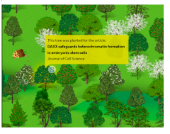 Poster about tree planting Poster about tree planting